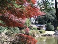 紅葉の季節にあわせ、庭園を開放 -東京国立博物館