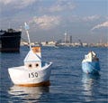アートが横浜の港から船出--日比野克彦監修によるダンボール船「種は船」進水式