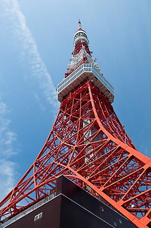 東京タワー「オカン週カン」--母の日から3日間はカーネーション3,333本贈呈