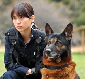 戸田恵梨香、被災地でも活躍する警備犬の訓練士役で出演 - 『DOG×POLICE』