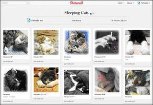 BIGLOBE、かわいい「寝ネコ写真」を、画像特化型SNS「Pinterest」で公開