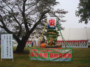 東京都国分寺市で、1日で10万人を集める「国分寺まつり」を11月4日に開催
