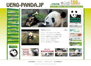 東京都・上野動物園でパンダ来日40周年記念「トーク&クイズ」を開催
