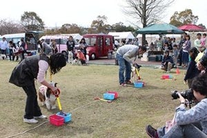 栃木県「ツインリンクもてぎ」で愛犬と遊べるイベント開催