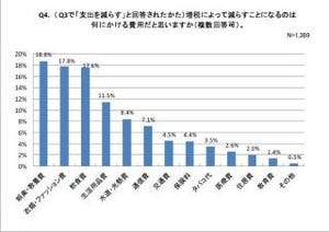 消費増税で減らす費用、"娯楽・教養費"が最多・"衣類・ファッション費"続く