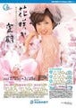 池田泉州銀行、桜の開花日を予想する特別金利適用の『花咲か定期』を発売
