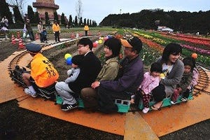 島根県「はくたチューリップ祭」で60万本ものチューリップが春を彩る!