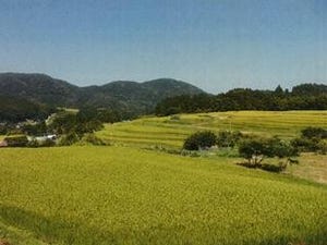 鳥取県で日本の棚田百選に選ばれている「横尾棚田」の棚田オーナー募集中