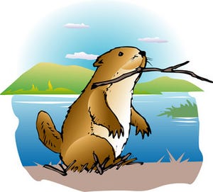 「beaver(ビーバー)」が象徴するものって?【知っているとちょっとカッコいい英語のコネタ】