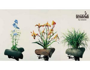 放置自転車のサドルが植物アートに! 「SADDLE BLOSSOMS PROJECT」開催