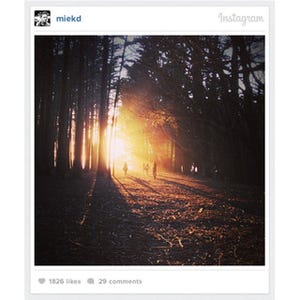 Instagram、スマホで撮影した写真と動画をWebページに表示する新機能