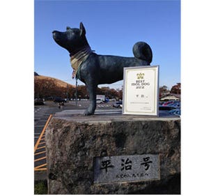 登山者の命を守ったガイド犬「平治」が、ベストアイドルドッグに認定!