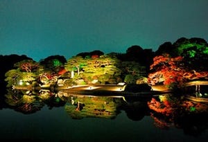 東京都・六義園で「紅葉と大名庭園のライトアップ」開催