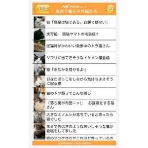 東京都で暮らす外猫たちの人気写真集がアプリになった