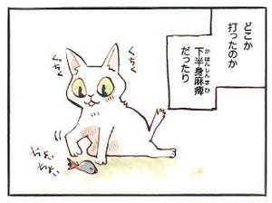 東京都内の保護猫カフェの日常を漫画にしてみた