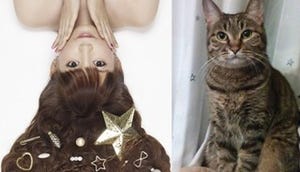 中川翔子、新曲で"世界一猫が登場する"MV制作! ファン募集に加えマミタスも