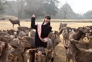 AKB48･市川美織、奈良公園で「奈良の鹿になりたいの～」発言! 鹿に変身!?