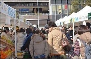 東京都・勝どきで、"春野菜と山菜"の「太陽のマルシェ」開催 -約100店出店