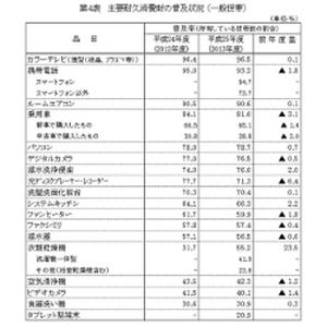 5割以上の世帯がスマホを所有、タブレットは2割―内閣府調査