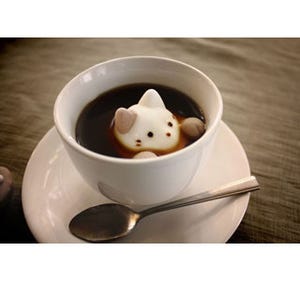 猫のマシュマロをコーヒーに浮かべたら可愛すぎて飲めなくなった!