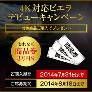 パナソニックの4Kビエラと4Kカメラ購入で、もれなく商品券3万円分がもらえる!