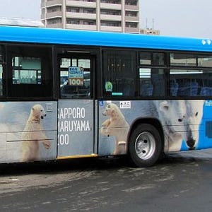 北海道札幌市で、ホッキョクグマのラッピングバス「円山動物園号」運行中!