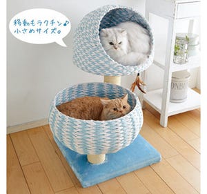 猫がすっぽり納まるお椀型のベッドが可愛すぎる…!!