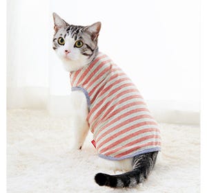 猫用パジャマが可愛すぎ!