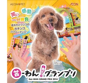 愛知県名古屋市で、日本一芸達者な犬を決めるイベント開催!