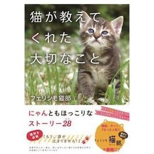 東京都・八重洲で「フェリシモ猫部」書籍発売パネル展開催