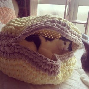 マカロンの形をした猫専用ベッド、「ねこマカロン」が発売!!