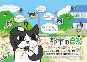大阪府・大阪市立自然史博物館で"ネコの目線"で自然を学ぶ展示会開催