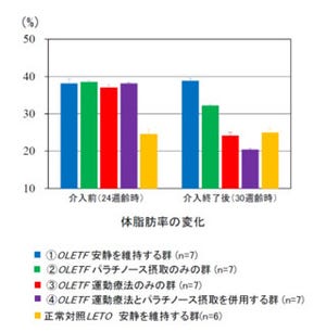 糖尿病対策として注目を集めている糖「パラチノース」って何だ?