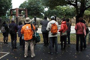 東京都・上野動物園などで、"大人のため"の動物園・水族園講座が開催