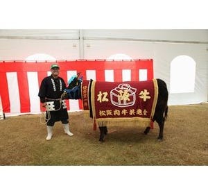 三重県で松阪牛の女王を決定する「松阪牛まつり」開催--すき焼き無料提供も