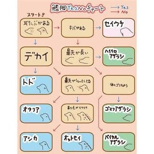 トド、アシカ、アザラシなどの違いがわからない時に使うチャートが話題に