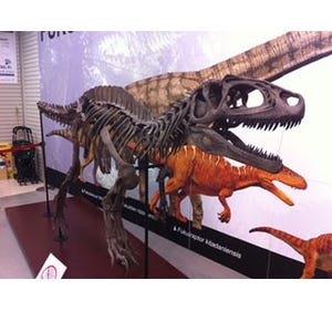 北陸新幹線開業記念 - 新宿に"福井の恐竜"がやってくる! 化石発掘体験も