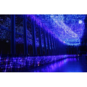 東京都・東京タワー展望台に満天の星が! 「天の川イルミネーション」実施
