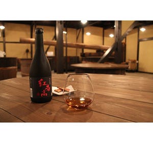 和歌山県海南市で梅酒35種以上飲み比べ! "ハモカツ丼"などご当地グルメも