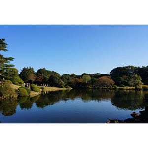 東京都で時を忘れる庭園4選 - 江戸時代から近未来、世界旅行気分まで