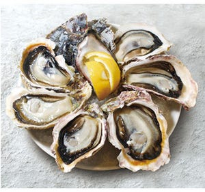オイスターバー21店舗で「岩牡蠣」をお得に楽しめるキャンペーン開催