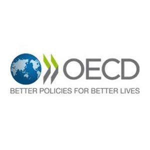 「各国政府はデジタル経済がもたらす悪影響に対応すべき」--OECDが警鐘