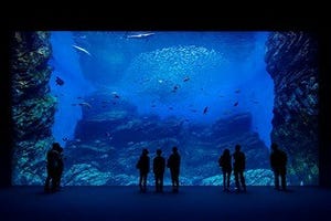 宮城県仙台市に東北最大級の水族館「仙台うみの杜水族館」がオープン