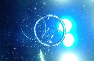 ダイバーが息を吐いて作る「バブルリング」を紹介 - 京都府・京都水族館