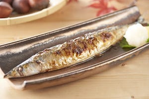 北海道の「とろ秋刀魚」を使ったメニューを提供開始 - 「かまどか」