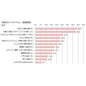 IT技術職の不満、1位「給与が低い」 - 「指示が曖昧」なども上位に