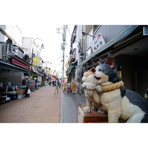 千円で大満足! 東京都のレトロ商店街「谷中ぎんざ」は猫と食べ歩きの宝庫