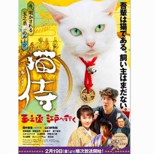『猫侍』シリーズ･玉之丞、ライオン商品の広告猫に!フォトコンテストも開催