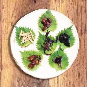 東京都・高田馬場で「昆虫食フェア」開催 - アリやサソリが食べられる!?