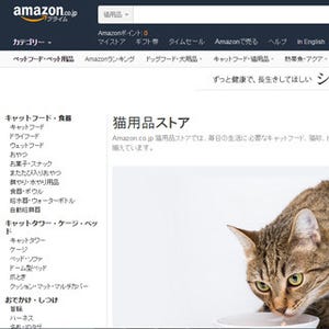 Amazon、2月22日「猫の日」に猫用品ストアをオープン